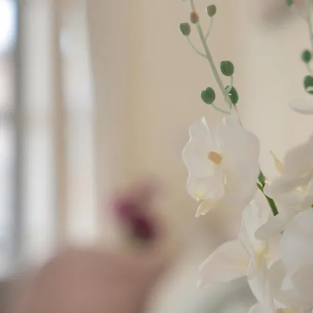 Complejo Orlando 206 Apartman Costa Adeje (Tenerife)