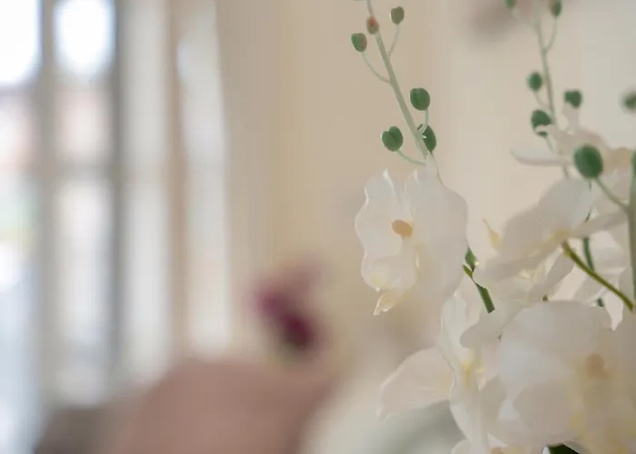 Complejo Orlando 206 アパート アデヘ