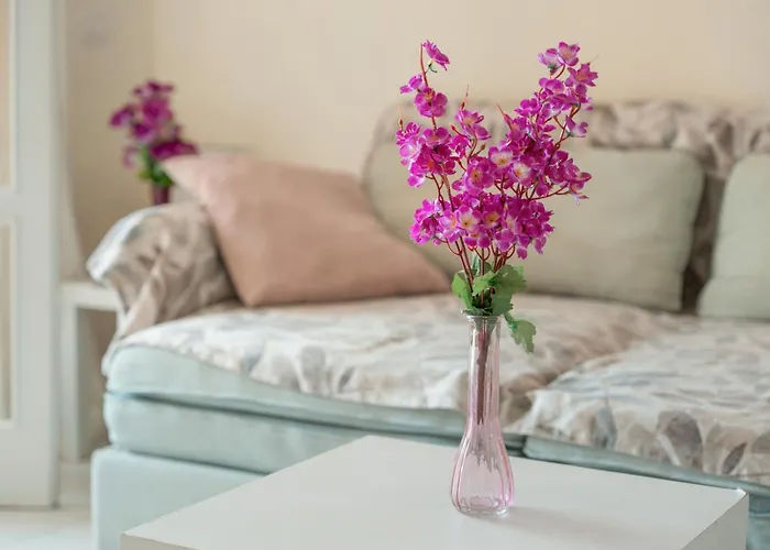 Complejo Orlando 206